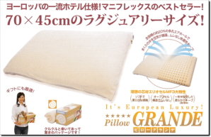 �������߃s���[�O�����f